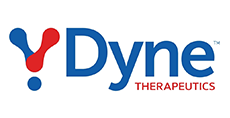 Dyne